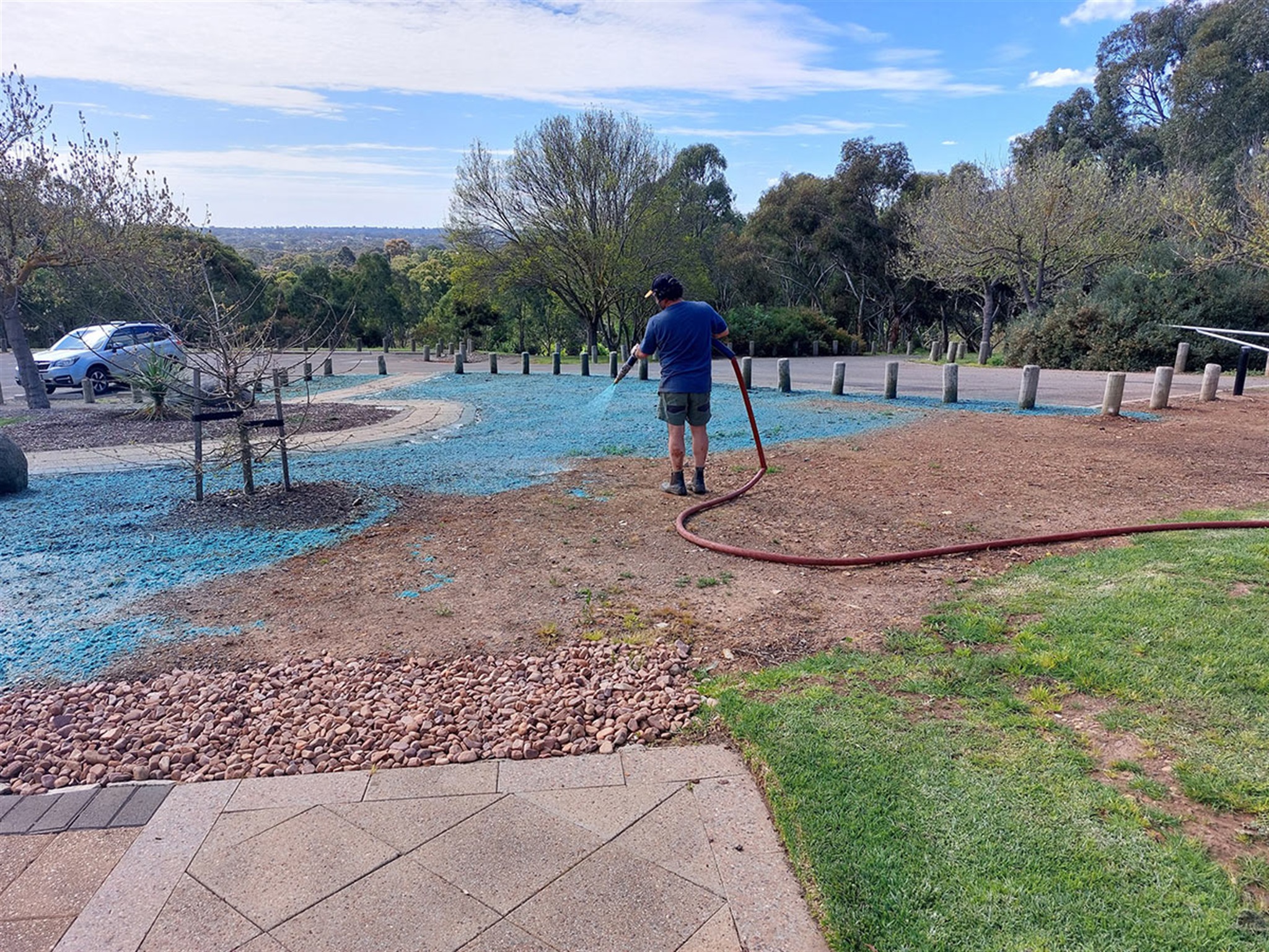 Blue liquid mulch being sprayed along the soil at Thalassa Park to 'hydroseed' the wildflower meadow.
