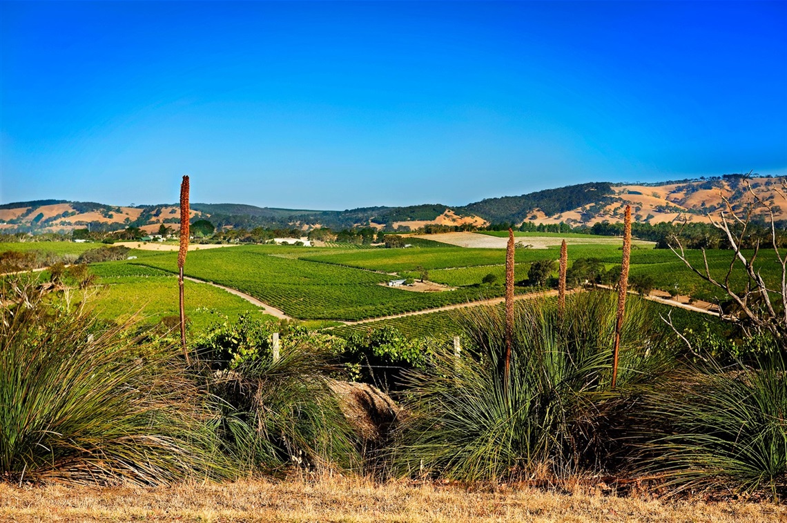 mclaren-vale-aerial.jpg